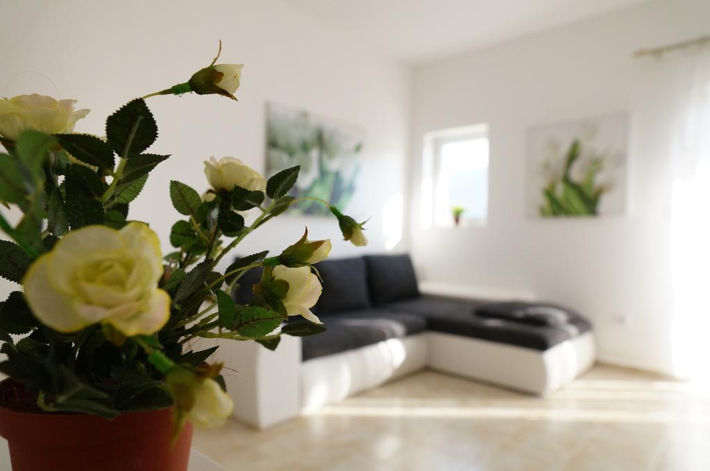 Apartment Begonia Of Kumbor 赫尔采格诺维 外观 照片